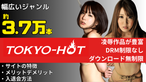 TOKYO-HOT 凌辱動画が豊富なアダルトサイト