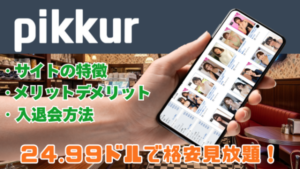 Pikkur 月額24.99ドルの格安無修正動画サイト