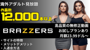 Brazzers 海外で人気のアダルト動画サイト